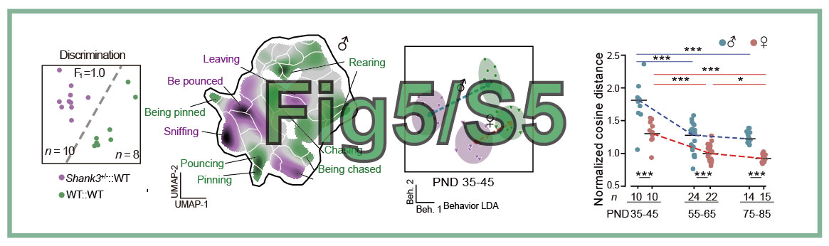 Fig5_S5