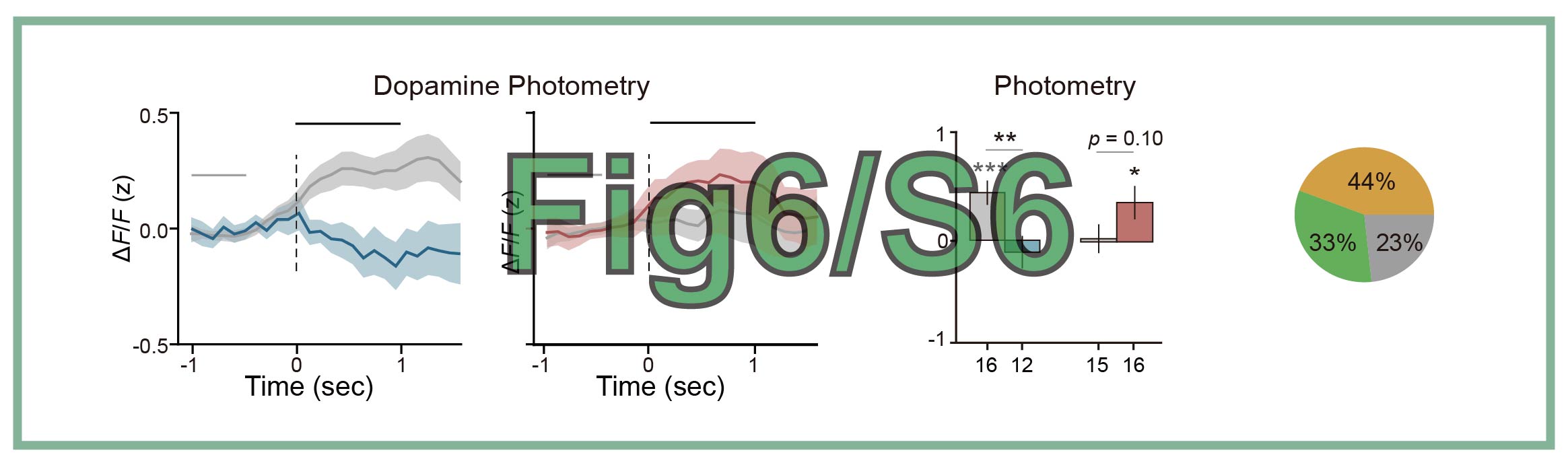 Fig6_S6